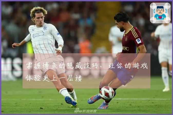 掌握博鱼的隐藏技巧，让你的游戏体验更上一层楼