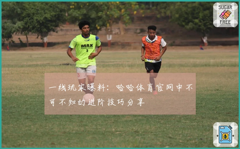 一线玩家曝料：哈哈体育官网中不可不知的进阶技巧分享